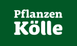 Pflanzen Kölle